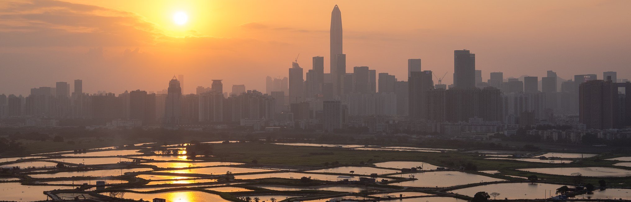Shenzhen skyline at sunset seen across wetlands in Hong Kong